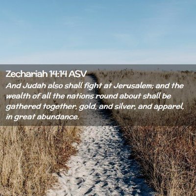 Picture 02 - Zechariah 14:14 ASV - And Judah also shall fight at Jerusalem; and the - Bible Verse Picture