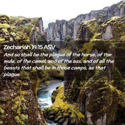 Picture 02 - Zechariah 14:15 ASV - And so shall be the plague of the horse, of the - Bible Verse Picture