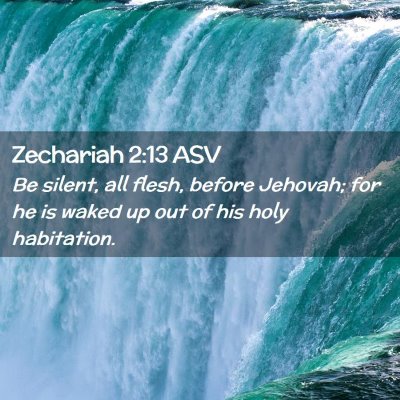 Picture 02 - Zechariah 2:13 ASV - Be silent, all flesh, before Jehovah; for he is - Bible Verse Picture