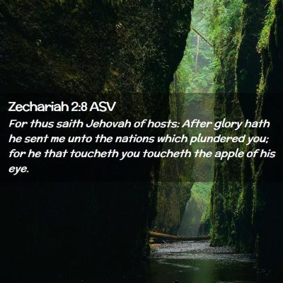 Picture 02 - Zechariah 2:8 ASV - For thus saith Jehovah of hosts: After glory hath - Bible Verse Picture
