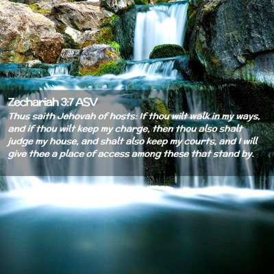Picture 02 - Zechariah 3:7 ASV - Thus saith Jehovah of hosts: If thou wilt walk in - Bible Verse Picture