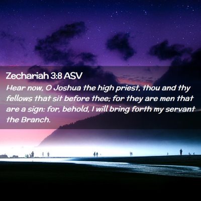 Picture 02 - Zechariah 3:8 ASV - Hear now, O Joshua the high priest, thou and thy - Bible Verse Picture