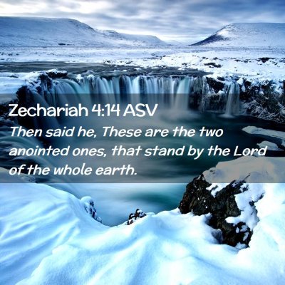 Picture 02 - Zechariah 4:14 ASV - Then said he, These are the two anointed ones, - Bible Verse Picture