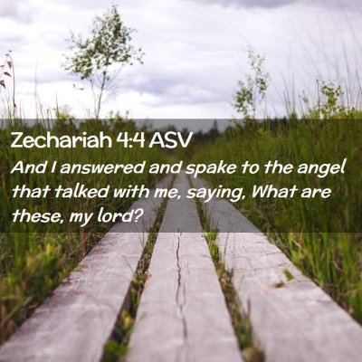 Picture 02 - Zechariah 4:4 ASV - And I answered and spake to the angel that talked - Bible Verse Picture