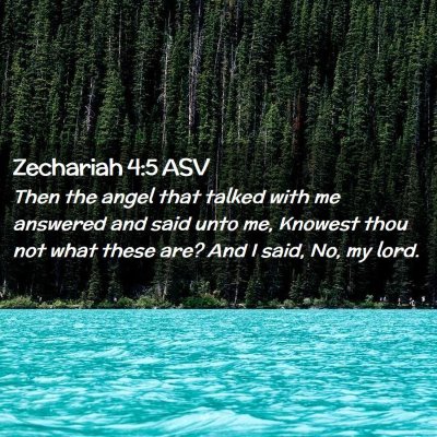 Picture 02 - Zechariah 4:5 ASV - Then the angel that talked with me answered and - Bible Verse Picture