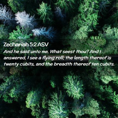 Picture 02 - Zechariah 5:2 ASV - And he said unto me, What seest thou? And I - Bible Verse Picture
