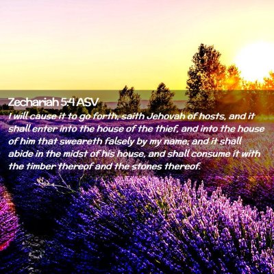 Picture 02 - Zechariah 5:4 ASV - I will cause it to go forth, saith Jehovah of - Bible Verse Picture
