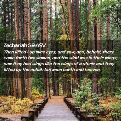 Picture 02 - Zechariah 5:9 ASV - Then lifted I up mine eyes, and saw, and, behold, - Bible Verse Picture