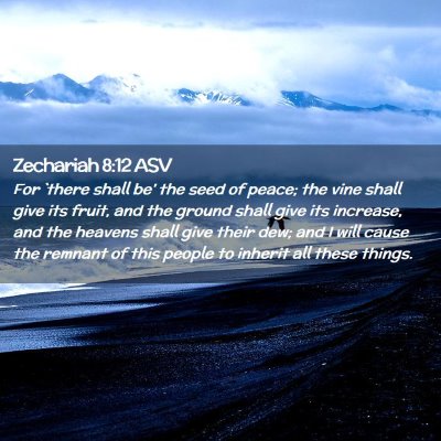 Picture 02 - Zechariah 8:12 ASV - For `there shall be' the seed of peace; the vine - Bible Verse Picture
