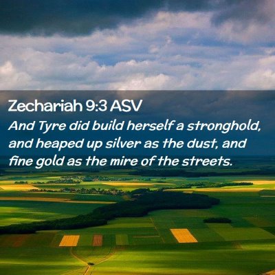 Picture 02 - Zechariah 9:3 ASV - And Tyre did build herself a stronghold, and - Bible Verse Picture