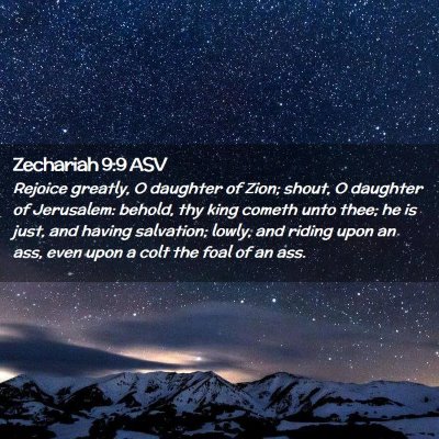Picture 02 - Zechariah 9:9 ASV - Rejoice greatly, O daughter of Zion; shout, O - Bible Verse Picture