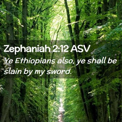 Picture 02 - Zephaniah 2:12 ASV - Ye Ethiopians also, ye shall be slain by my - Bible Verse Picture