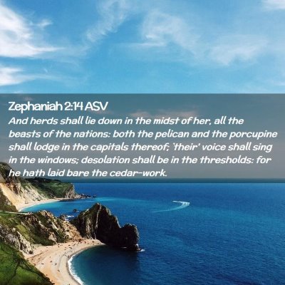 Picture 02 - Zephaniah 2:14 ASV - And herds shall lie down in the midst of her, all - Bible Verse Picture
