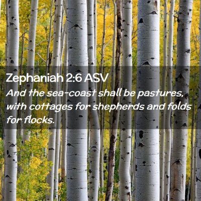 Picture 02 - Zephaniah 2:6 ASV - And the sea-coast shall be pastures, with - Bible Verse Picture