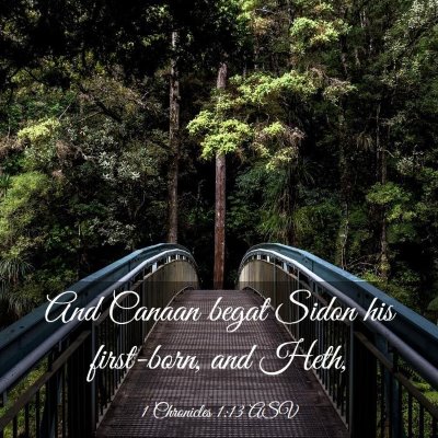Picture 03 - 1 Chronicles 1:13 ASV - And Canaan begat Sidon his first-born, and - Bible Verse Picture