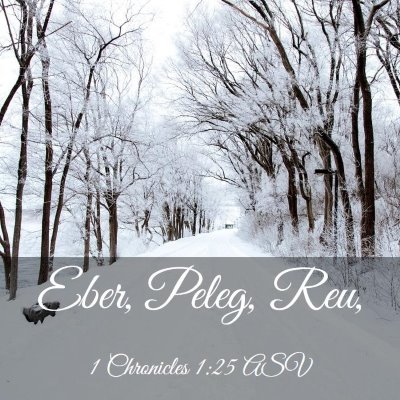 Picture 03 - 1 Chronicles 1:25 ASV - Eber, Peleg, - Bible Verse Picture