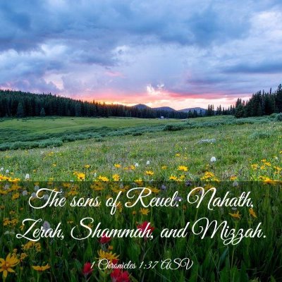 Picture 03 - 1 Chronicles 1:37 ASV - The sons of Reuel: Nahath, Zerah, Shammah, and - Bible Verse Picture