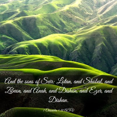 Picture 03 - 1 Chronicles 1:38 ASV - And the sons of Seir: Lotan, and Shobal, and - Bible Verse Picture