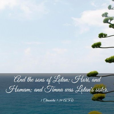 Picture 03 - 1 Chronicles 1:39 ASV - And the sons of Lotan: Hori, and Homam; and Timna - Bible Verse Picture
