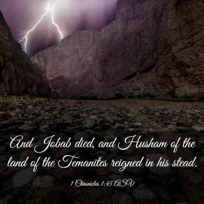 Picture 03 - 1 Chronicles 1:45 ASV - And Jobab died, and Husham of the land of the - Bible Verse Picture