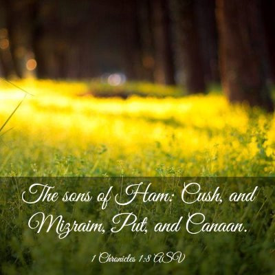 Picture 03 - 1 Chronicles 1:8 ASV - The sons of Ham: Cush, and Mizraim, Put, and - Bible Verse Picture