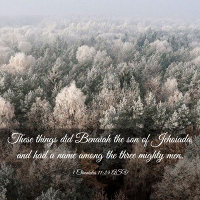 Picture 03 - 1 Chronicles 11:24 ASV - These things did Benaiah the son of Jehoiada, and - Bible Verse Picture