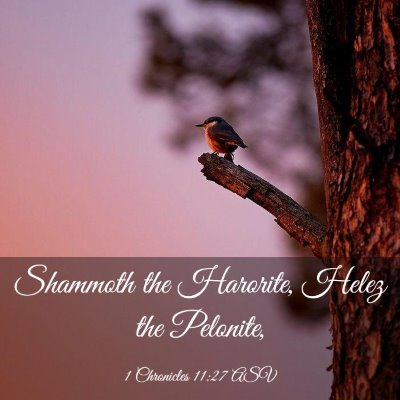 Picture 03 - 1 Chronicles 11:27 ASV - Shammoth the Harorite, Helez the - Bible Verse Picture