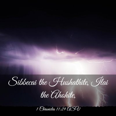 Picture 03 - 1 Chronicles 11:29 ASV - Sibbecai the Hushathite, Ilai the - Bible Verse Picture