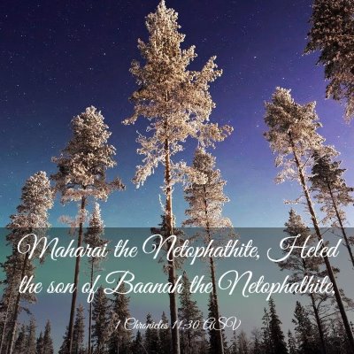Picture 03 - 1 Chronicles 11:30 ASV - Maharai the Netophathite, Heled the son of Baanah - Bible Verse Picture