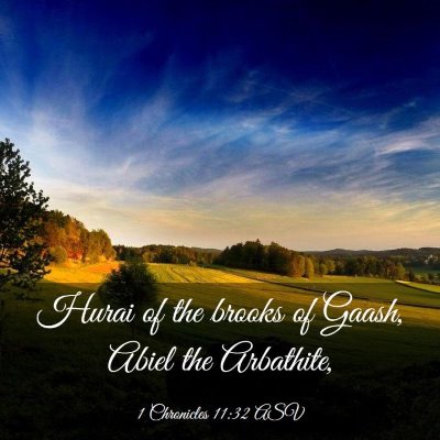 Picture 03 - 1 Chronicles 11:32 ASV - Hurai of the brooks of Gaash, Abiel the - Bible Verse Picture