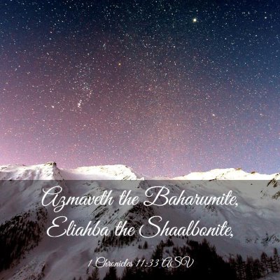 Picture 03 - 1 Chronicles 11:33 ASV - Azmaveth the Baharumite, Eliahba the - Bible Verse Picture
