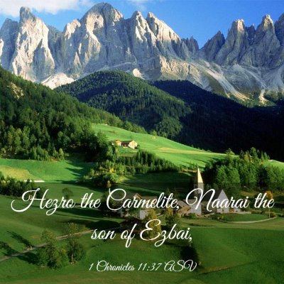 Picture 03 - 1 Chronicles 11:37 ASV - Hezro the Carmelite, Naarai the son of - Bible Verse Picture