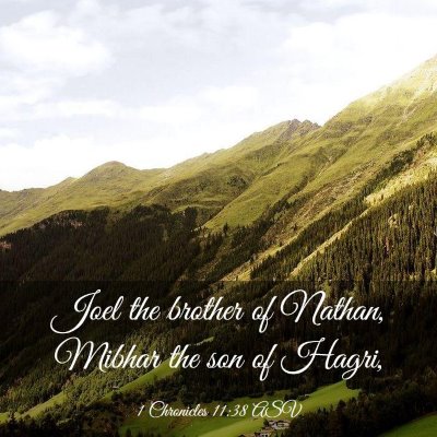 Picture 03 - 1 Chronicles 11:38 ASV - Joel the brother of Nathan, Mibhar the son of - Bible Verse Picture