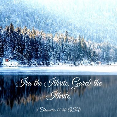 Picture 03 - 1 Chronicles 11:40 ASV - Ira the Ithrite, Gareb the - Bible Verse Picture
