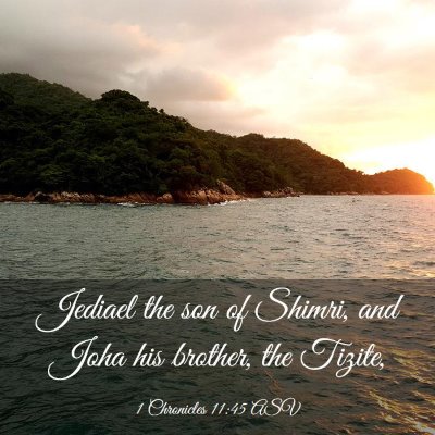 Picture 03 - 1 Chronicles 11:45 ASV - Jediael the son of Shimri, and Joha his brother, - Bible Verse Picture