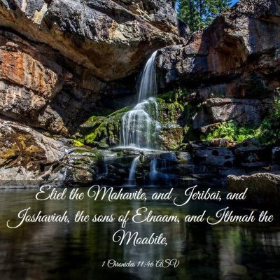 Picture 03 - 1 Chronicles 11:46 ASV - Eliel the Mahavite, and Jeribai, and Joshaviah, - Bible Verse Picture