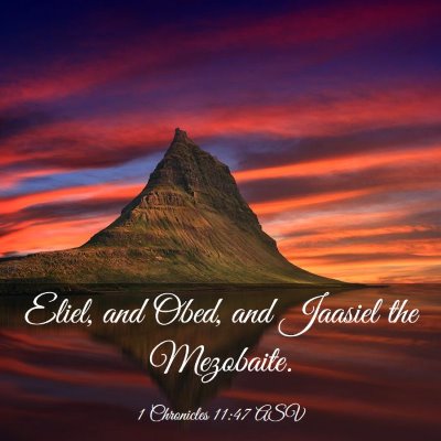 Picture 03 - 1 Chronicles 11:47 ASV - Eliel, and Obed, and Jaasiel the - Bible Verse Picture