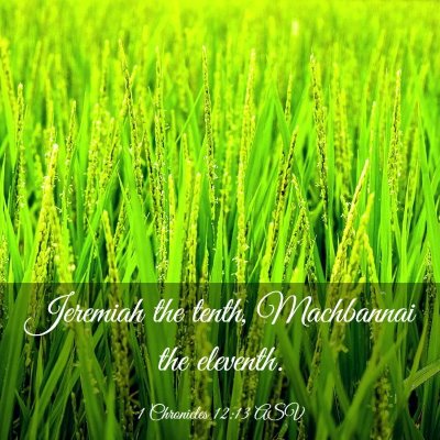 Picture 03 - 1 Chronicles 12:13 ASV - Jeremiah the tenth, Machbannai the - Bible Verse Picture