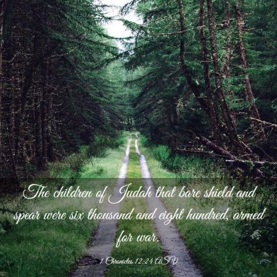 Picture 03 - 1 Chronicles 12:24 ASV - The children of Judah that bare shield and spear - Bible Verse Picture