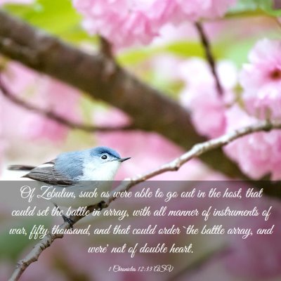 Picture 03 - 1 Chronicles 12:33 ASV - Of Zebulun, such as were able to go out in the - Bible Verse Picture
