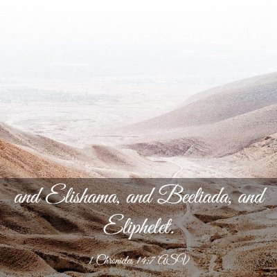 Picture 03 - 1 Chronicles 14:7 ASV - and Elishama, and Beeliada, and - Bible Verse Picture