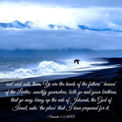 Picture 03 - 1 Chronicles 15:12 ASV - and said unto them, Ye are the heads of the - Bible Verse Picture
