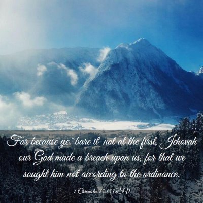 Picture 03 - 1 Chronicles 15:13 ASV - For because ye `bare it' not at the first, - Bible Verse Picture