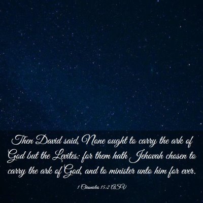 Picture 03 - 1 Chronicles 15:2 ASV - Then David said, None ought to carry the ark of - Bible Verse Picture