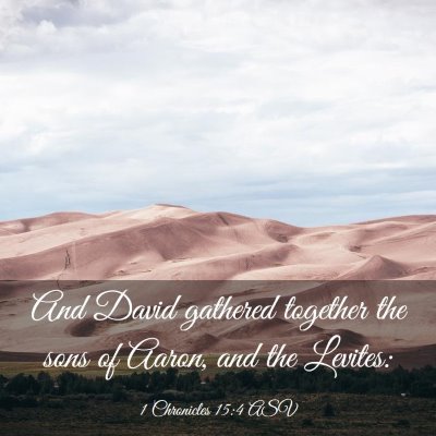 Picture 03 - 1 Chronicles 15:4 ASV - And David gathered together the sons of Aaron, - Bible Verse Picture