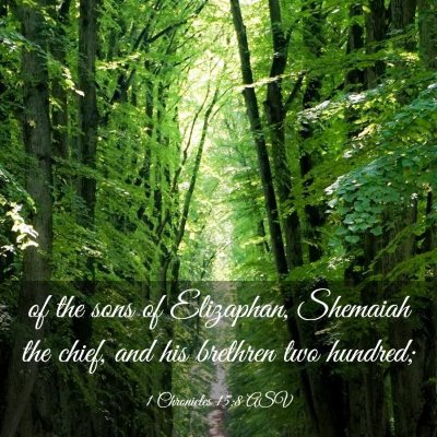 Picture 03 - 1 Chronicles 15:8 ASV - of the sons of Elizaphan, Shemaiah the chief, and - Bible Verse Picture