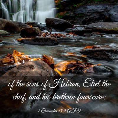 Picture 03 - 1 Chronicles 15:9 ASV - of the sons of Hebron, Eliel the chief, and his - Bible Verse Picture