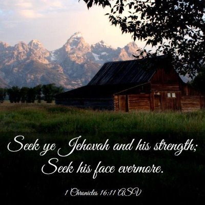 Picture 03 - 1 Chronicles 16:11 ASV - Seek ye Jehovah and his strength; Seek his face - Bible Verse Picture