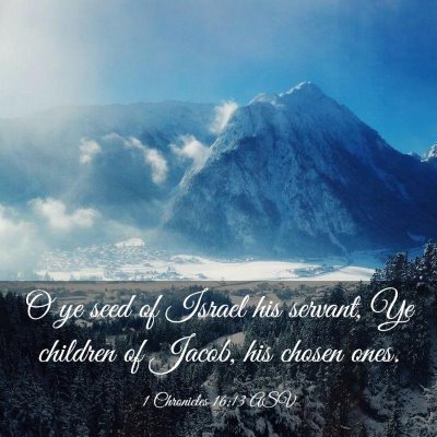 Picture 03 - 1 Chronicles 16:13 ASV - O ye seed of Israel his servant, Ye children of - Bible Verse Picture