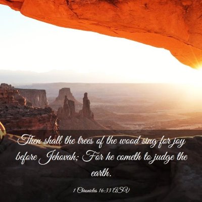 Picture 03 - 1 Chronicles 16:33 ASV - Then shall the trees of the wood sing for joy - Bible Verse Picture